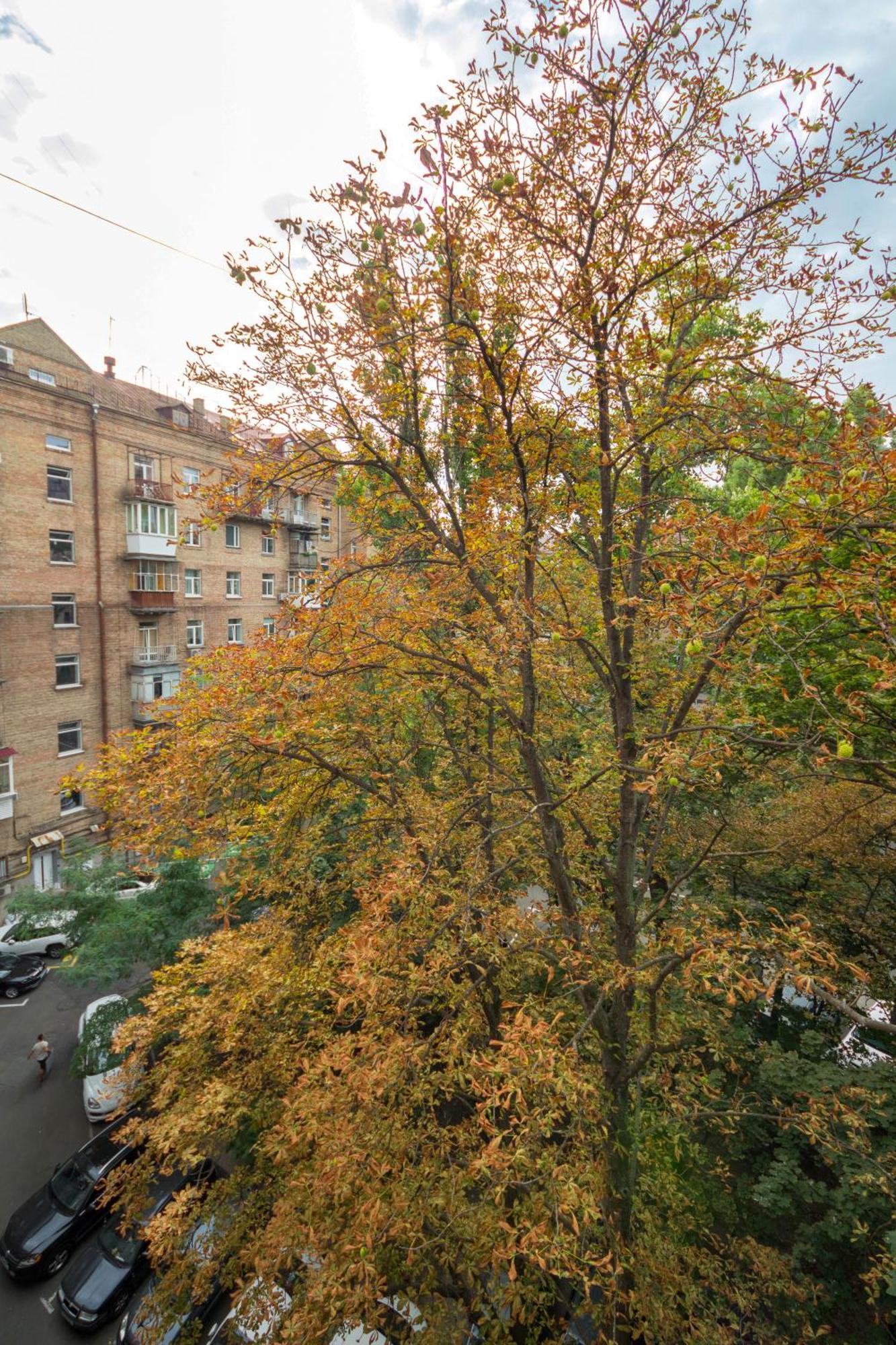 Central Apartments Maidan Area Κίεβο Εξωτερικό φωτογραφία